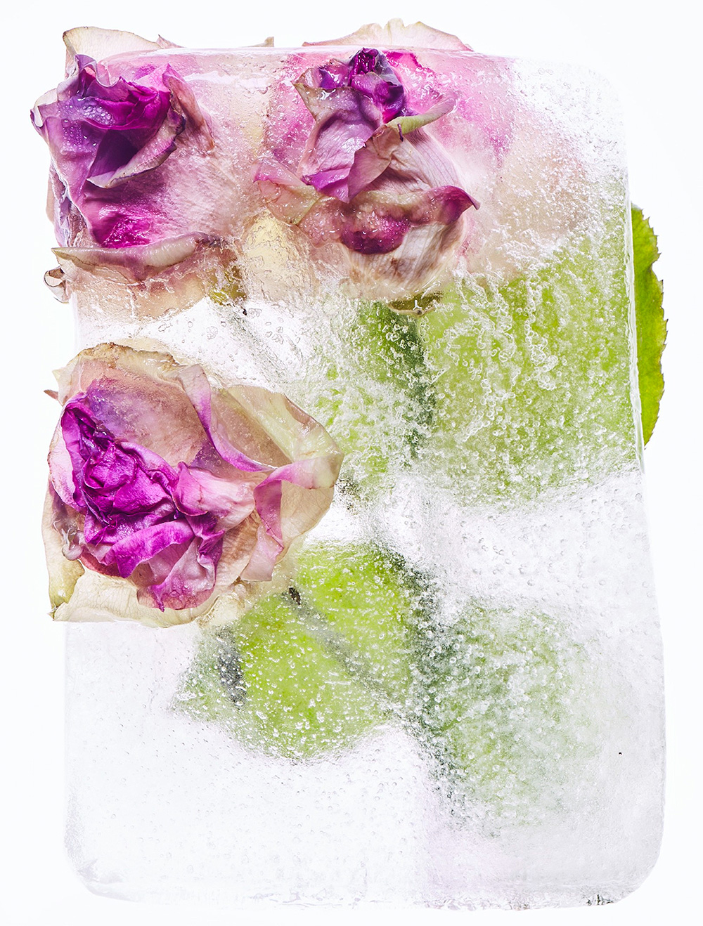 Oliver Zimmer - Zimmer Fine Art / Berlin